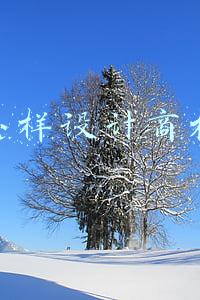 怎样设计商标