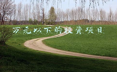 万元以下的投资项目