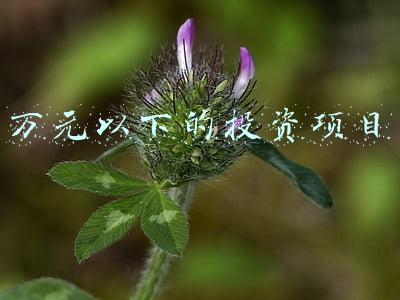 5万元投资创业项目(农民工年后创业，投入不到10万做5个项目，有前景比打工强)
