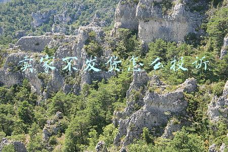 卖家不发货怎么投诉
