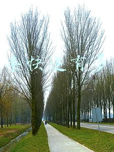 顺丰快递有多快