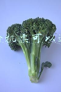 特价机票可以退吗