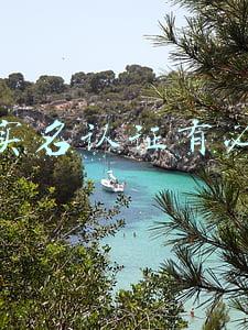 京东实名认证有必要吗
