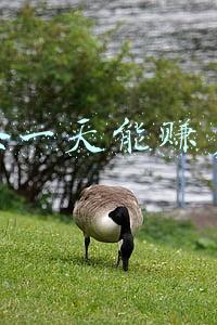 趣头条一天能赚多少钱
