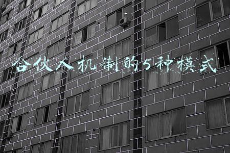 合伙人机制的5种模式