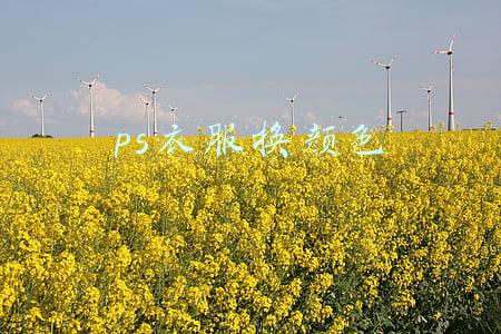 ps衣服换颜色