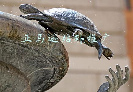 亚马逊站外推广