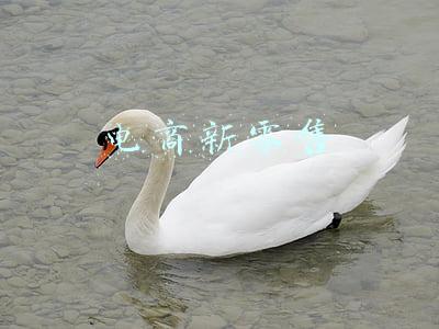 电商新零售