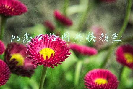 ps怎么给图片换颜色