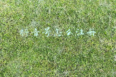抖音号怎么注册
