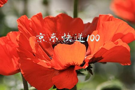 京东快递100斤多少钱(“丢一赔九”！京东物流进军个人寄件领域，运费起价11-13元)