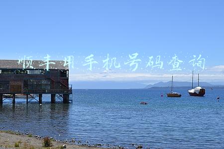 顺丰用手机号码查询