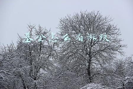 银行基金怎么看涨跌(对于近期表现不错的银行基金的判断)