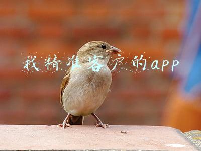 找精准客户的app叫什么客(找客户的软件有哪些？)