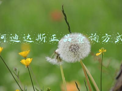 阿迪达斯正品查询方式