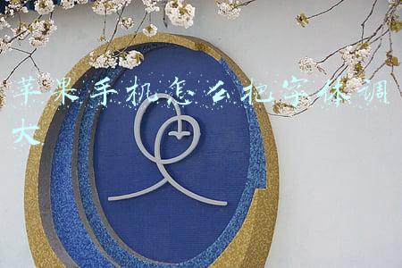 苹果手机怎么把字体调大