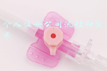 个人注册公司流程和费用 聊城市(聊城注册公司需要的资料)