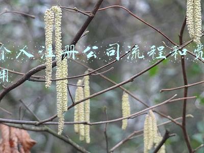 个人出书的流程及费用(个人出书的流程及费用（大致流程是什么？）)