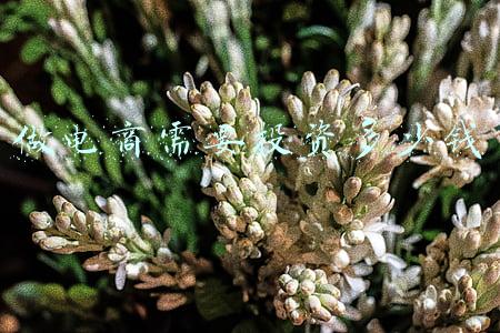 做电商需要投资多少钱