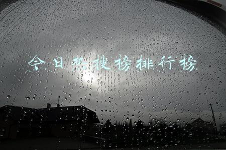 今日热搜榜排行榜