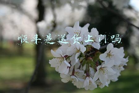 顺丰是送货上门吗