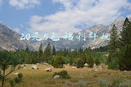 20元5包福利群规