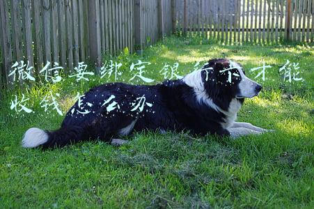 微信要绑定银行卡才能收钱怎么办未成年(微信青少年模式上线“监护人授权”功能，家长可远程管理)