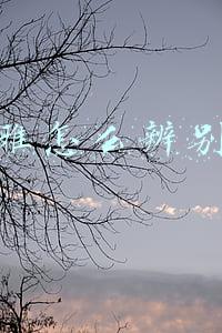 欧莱雅怎么辨别真假