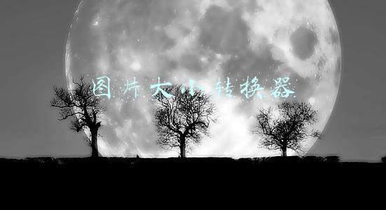 图片大小转换器