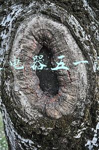 国美电器五一活动