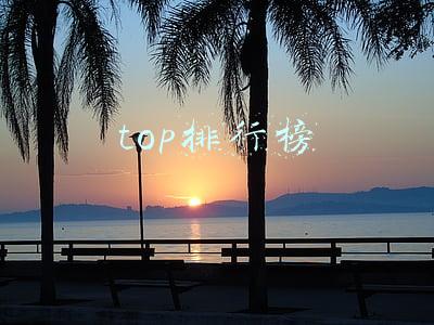 top排行榜