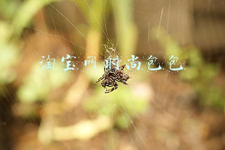 淘宝网时尚包包