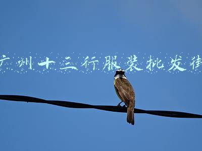 广州十三行服装批发街