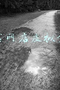 淘宝虚拟货源(年轻人都可学会的淘宝虚拟货源项目有什么呢)