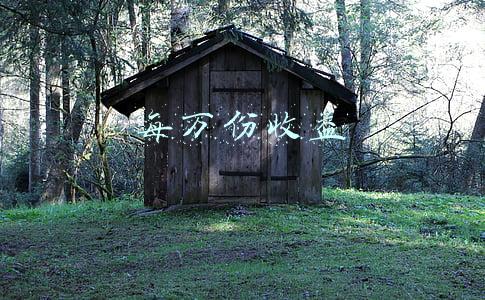 每万份收益