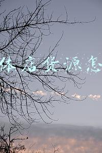 想开实体店如何找货源(无货源怎么开店，如何选择优质货源，找货源需要注意什么？)