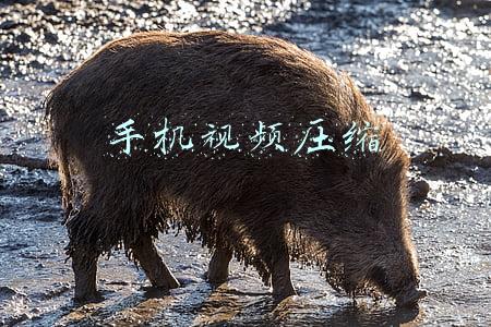 手机视频压缩