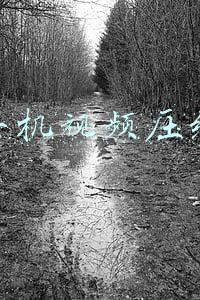手机视频压缩怎么压缩最小(视频内存太大，手机内存不够用？一键解决烦恼)