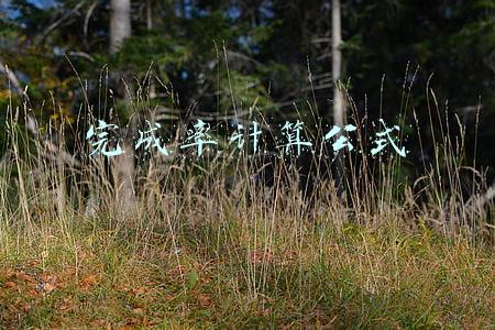月任务完成率计算公式(薪酬分配管理制度（之一）)