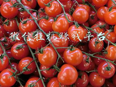 微信挂机赚钱平台下载(微信挂机赚钱平台)