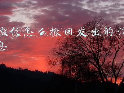 微信怎么撤回发出的消息