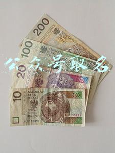 公众号取名