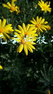 1元云购网官网(老亮揭秘 “一元购”“夺宝”看完这些黑幕 保证你躲的远远的)