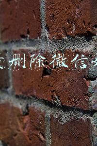 电脑怎么批量删除微信好友(如何快速批量删除微信好友)