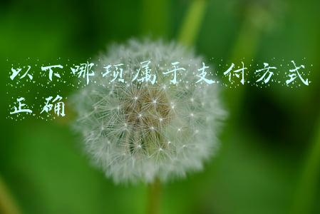 关于支付的概念下列说法正确的是(学习强国四人赛题库第十辑（901~1000）)