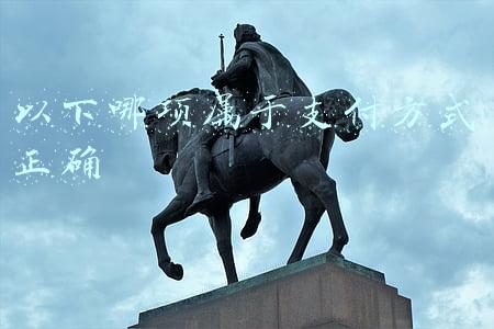 以下哪项属于支付方式正确