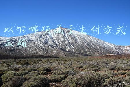 一下哪项属于支付方式正确(最高人民法院发布消费者权益保护典型案例)