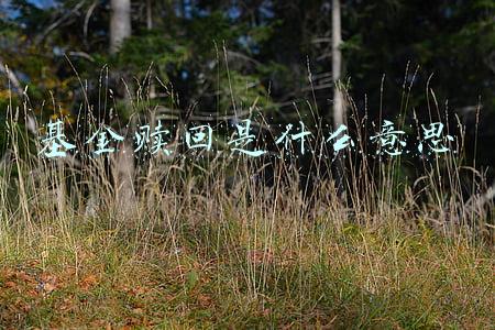 基金赎回是什么意思