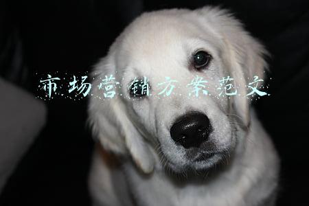 营销方案怎么写(七个步骤，轻松制定一份完整的营销计划方案)
