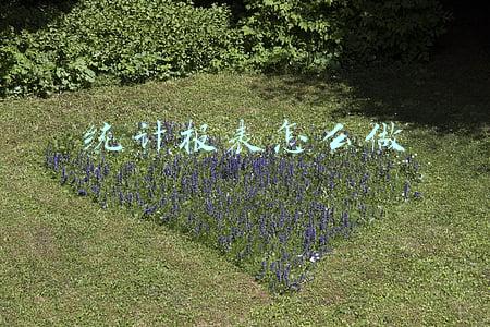 统计报表怎么做